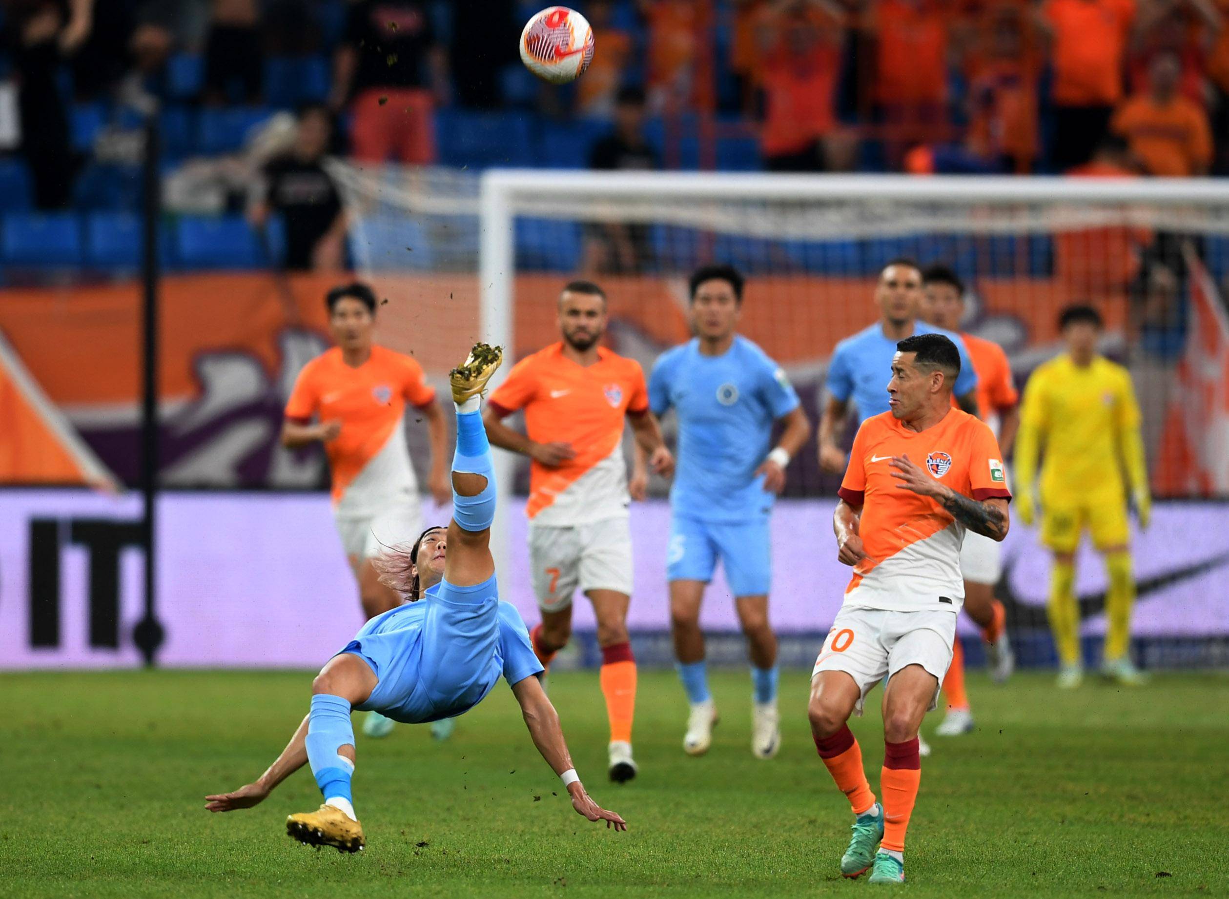 麦卡很可能 麦卡很可能