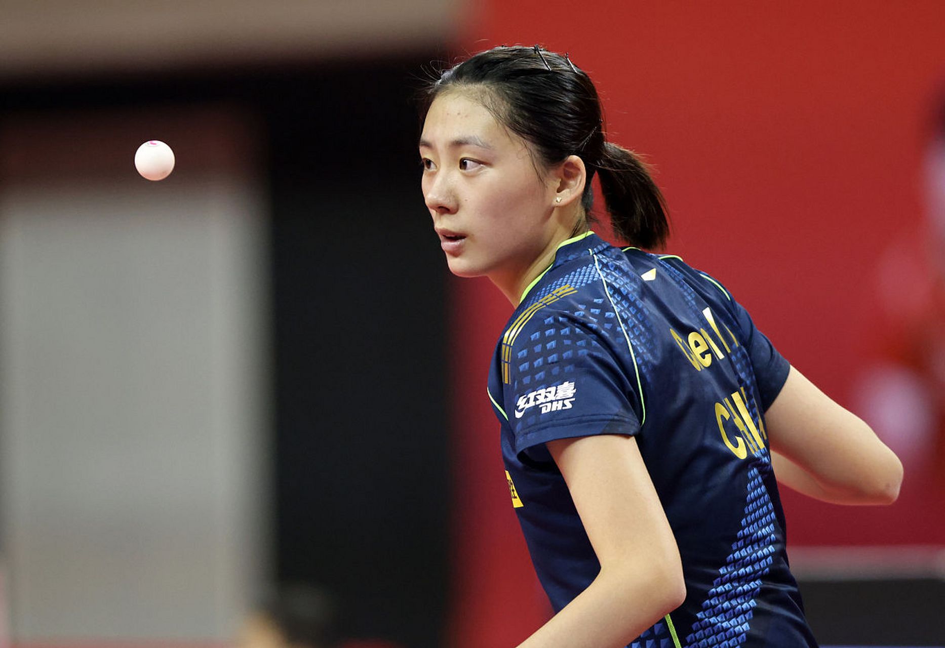 扑都高光 扑都高光